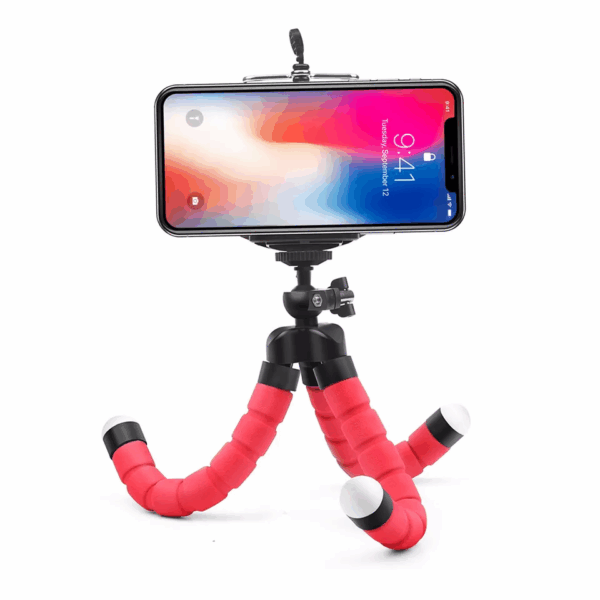 main-image-5