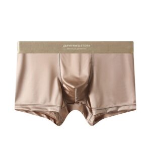 Luxury Smooth Cool Ice Silk Male Underwear - Image 6