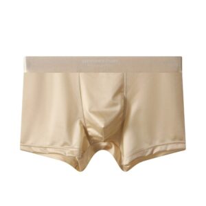 Luxury Smooth Cool Ice Silk Male Underwear - Image 7